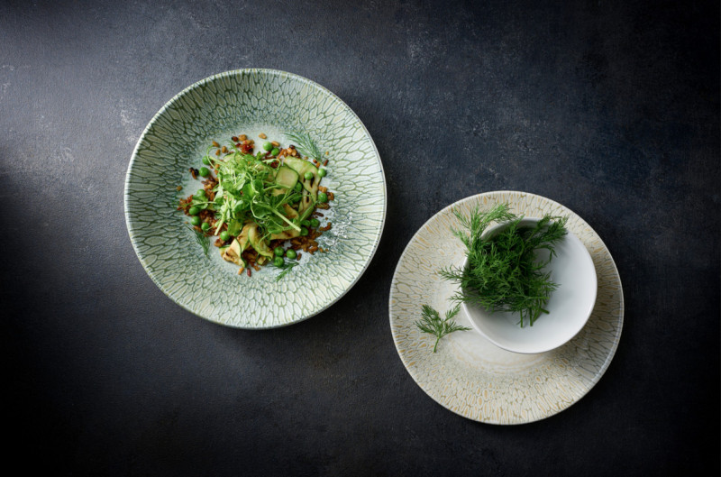 Assiette bord droit vert porcelaine vitrifiée Ø 21 cm Butterfly Dudson